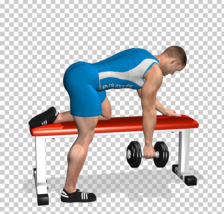 Bent-over Row Bench Dumbbell Exercise PNG, Clipart, Abdomen, Angle, Arm, Balance, Barbell Free PNG Download