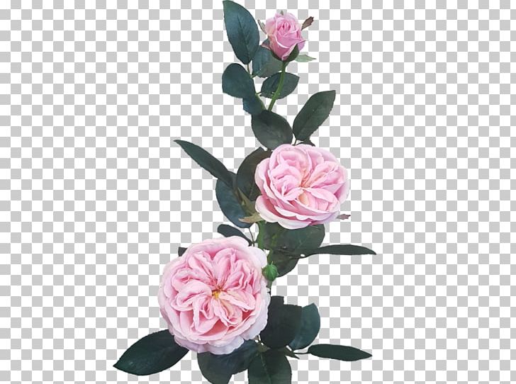 Cut Flowers Artificial Flower Garden Roses Floral Design PNG, Clipart, Artificial Flower, Centifolia Roses, Cut Flowers, David Ch Austin, Floral Design Free PNG Download