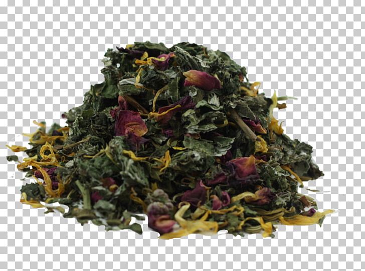 Oolong Nilgiri Tea Herbal Tea Vegetarian Cuisine PNG, Clipart, Assam Tea, Birth, Calendula, Catnip, Ceylon Tea Free PNG Download