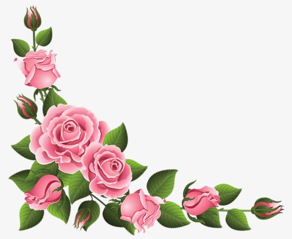 Pink Rose Border PNG, Clipart, Border Clipart, Chinese, Chinese Rose, Flowers, Green Free PNG Download