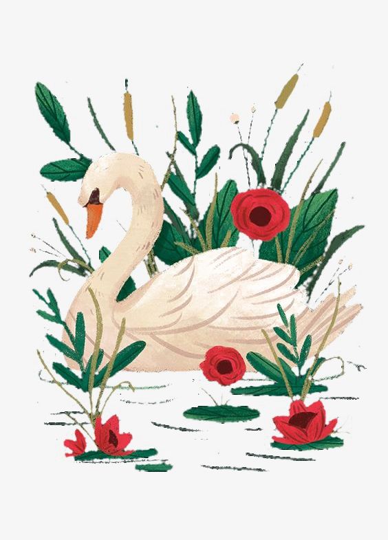 Swan PNG, Clipart, Animal, Cartoon, Reed, Swan, Swan Clipart Free PNG Download