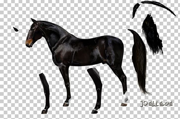 Mustang Stallion Foal Mare Colt PNG, Clipart, Bridle, Colt, Dog Harness, Foal, Halter Free PNG Download