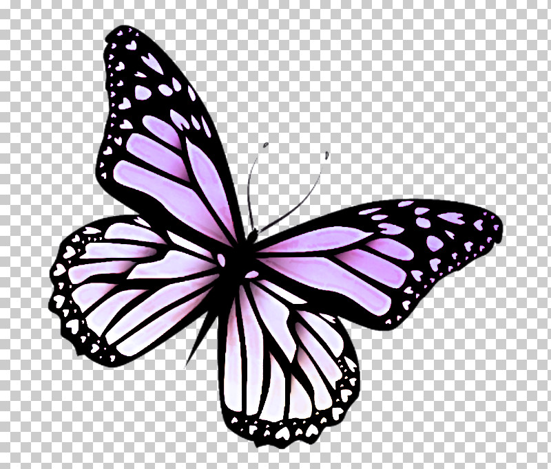 Monarch Butterfly PNG, Clipart, Brushfooted Butterfly, Butterfly, Insect, Melanargia, Melanargia Galathea Free PNG Download