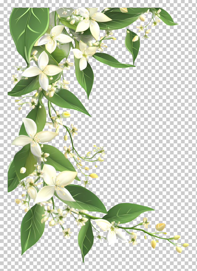 Neem - White Floral Design With Leaves PNG, Clipart, Decoration ...