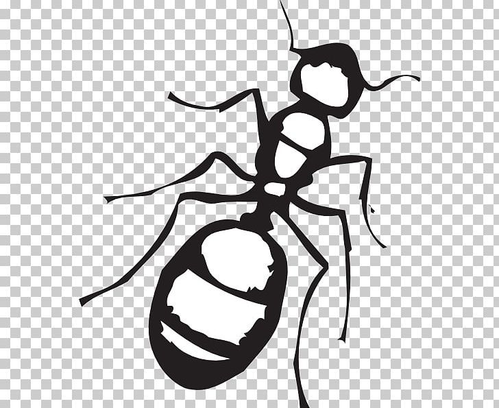 Ant Black And White Insect PNG, Clipart, Animals, Ant, Artwork, Black And White, Black Garden Ant Free PNG Download