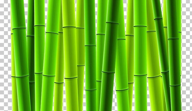 Bamboo Euclidean Tree PNG, Clipart, Angle, Art, Bamboe, Bamboo, Bamboo Border Free PNG Download