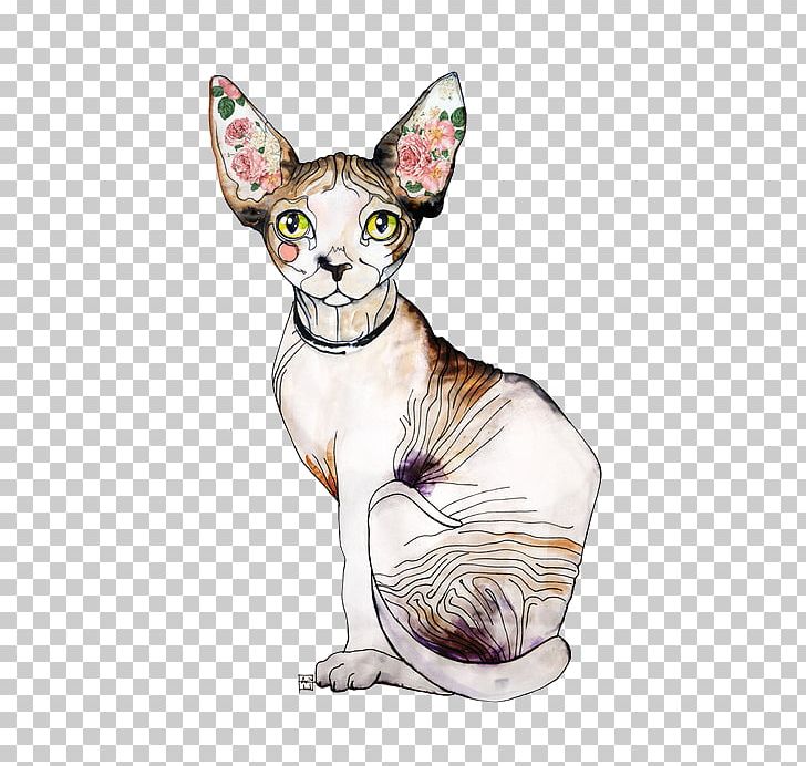 Sphynx Cat Donskoy Kitten Peterbald Persian Cat PNG, Clipart, American Wirehair, Animal, Animals, Carnivoran, Cat Free PNG Download