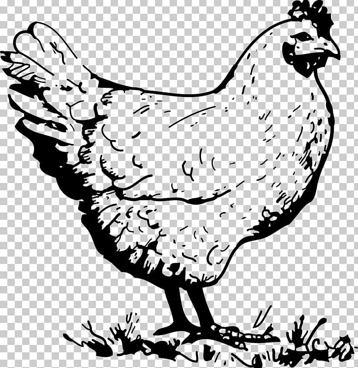 Wyandotte Chicken Galliformes Rooster Poultry PNG, Clipart, Art, Artwork, Beak, Bird, Black And White Free PNG Download