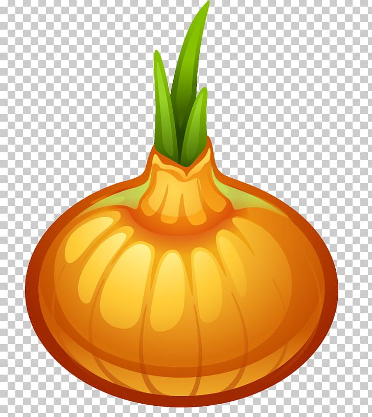 Calabaza Onion Jack-o'-lantern Vegetable PNG, Clipart,  Free PNG Download