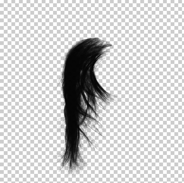 Drawing Capelli Black Hair PNG, Clipart, Black, Black And White, Brush, Brushes, Capelli Free PNG Download