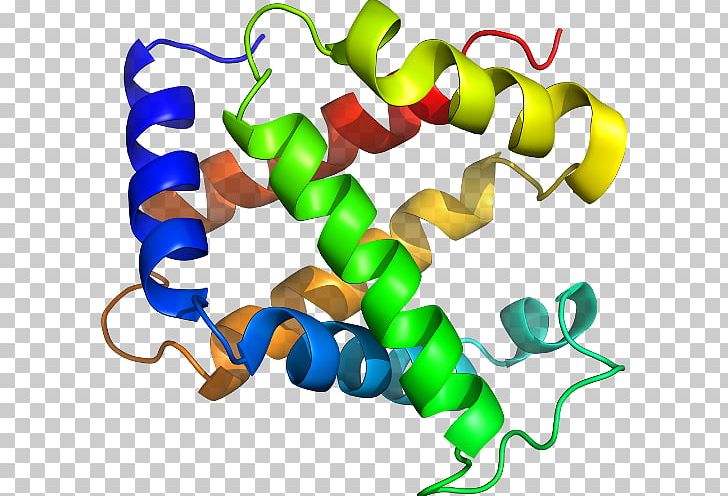 Organism Line Immunohistochemistry PNG, Clipart, Art, Artwork, Hemoglobin Alpha 1, Immunohistochemistry, Line Free PNG Download