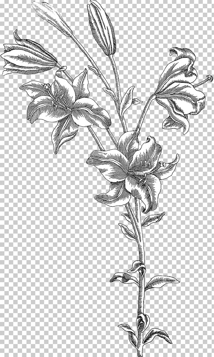 Twig Drawing Botany Plant Stem /m/02csf PNG, Clipart, Artwork, Bedroom, Black And White, Botany, Branch Free PNG Download