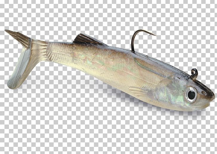 Anchovy Fishing Baits & Lures Soft Plastic Bait PNG, Clipart, Anchovy, Bait, Bony Fish, Fish, Fish Hook Free PNG Download