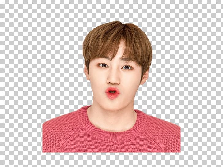 Ha Sung-woon Wanna One Lip Balm 1X1=1 (To Be One) PNG, Clipart, Bangs, Brown Hair, Cheek, Chin, Ear Free PNG Download