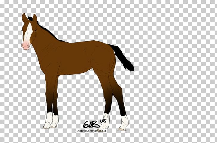 Mustang Foal Colt Stallion Mare PNG, Clipart, Animal Figure, Bridle, Colt, Florida Kraze Krush Soccer Club, Foal Free PNG Download