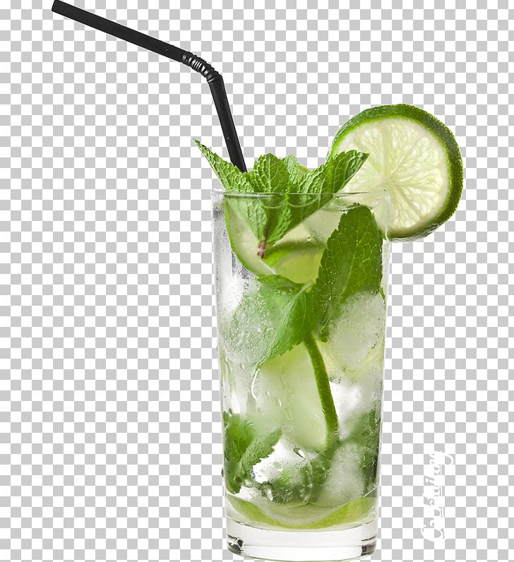 Orange Juice Cocktail Tequila Sunrise Mojito PNG, Clipart, Food, Fruit, Juice, Lemonade, Lemonade Girl Free PNG Download