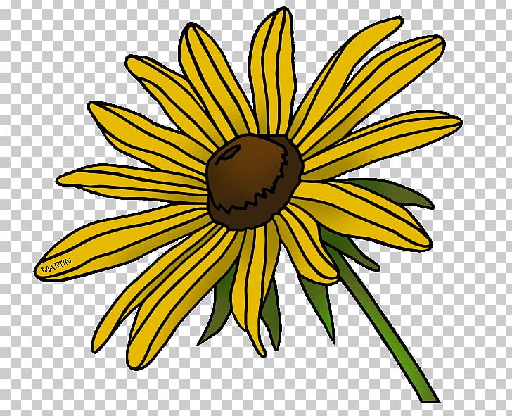 Blackeyed Susan Maryland State Flower PNG, Clipart, Artwork, Black And White, Black Eye, Blackeyed Susan, Color Free PNG Download
