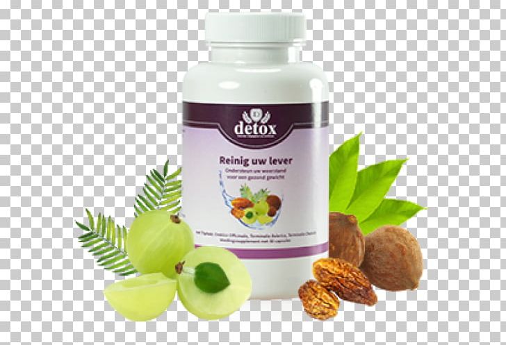 Dietary Supplement Detoxification Liver Health Vitamin PNG, Clipart, Body, Capsule, Detoxification, Dietary Supplement, Drugstore Free PNG Download
