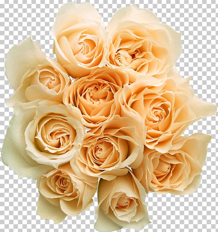 Flower Bouquet Garden Roses PNG, Clipart, Cut Flowers, Desktop Wallpaper, Dots Per Inch, Download, Floral Design Free PNG Download