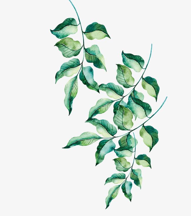 Hand Painted Green Leaves PNG, Clipart, Green, Green Clipart, Hand, Hand Clipart, Leaf Free PNG Download