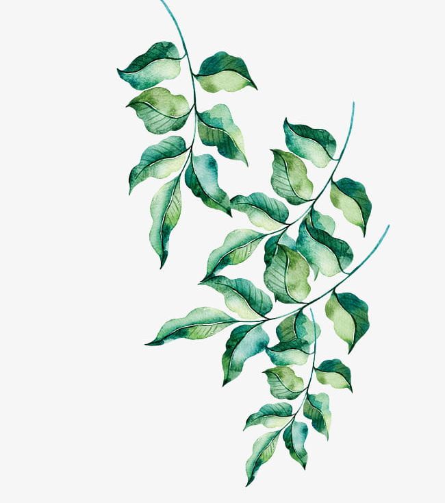 Leaf Texture PNG Image, Green Leaf Texture Painted, Leaf Clipart, Hand  Painted Leaves, Green Leaves PNG Image For Free Download