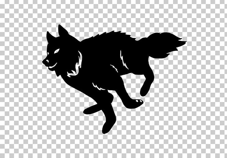 Whiskers Cat Dog Lookbook Mammal PNG, Clipart, Animals, Black, Black And White, Black Cat, Carnivoran Free PNG Download