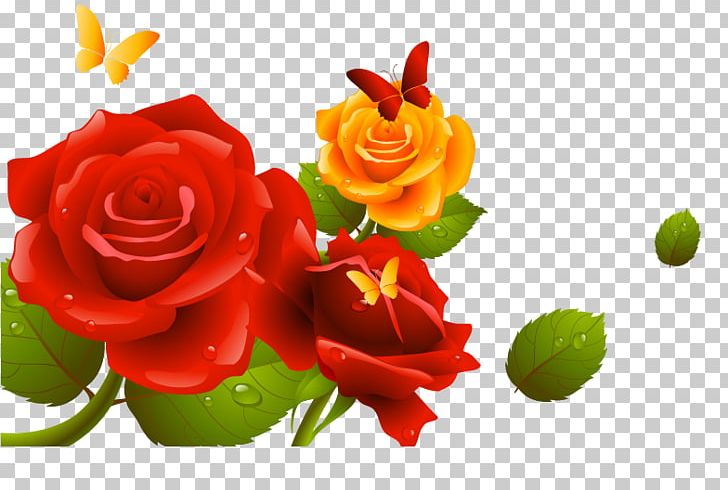 Carnation PNG, Clipart, Android, Carnation Lily Lily Rose, Cut Flowers, Data Compression, Download Free PNG Download