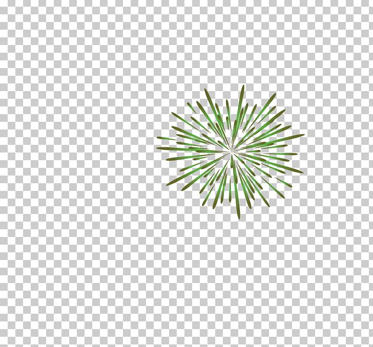 Color PNG, Clipart, Circle, Design, Flower, Flowers, Grass Free PNG Download