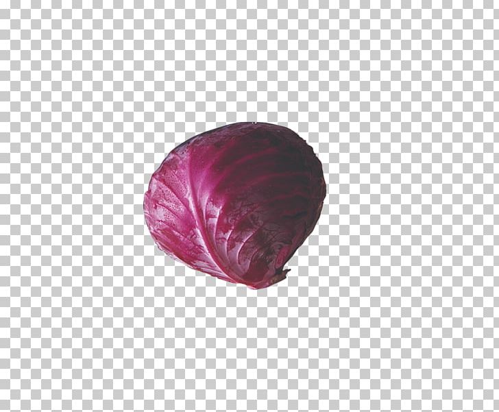 Petal Close-up PNG, Clipart, Cabbage, Cabbage Leaves, Cabbage Roses, Cartoon Cabbage, Chinese Cabbage Free PNG Download