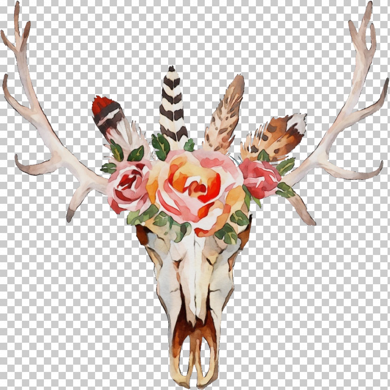 Feather PNG, Clipart, Antler, Canvas, Cut Flowers, Deer, Feather Free PNG Download
