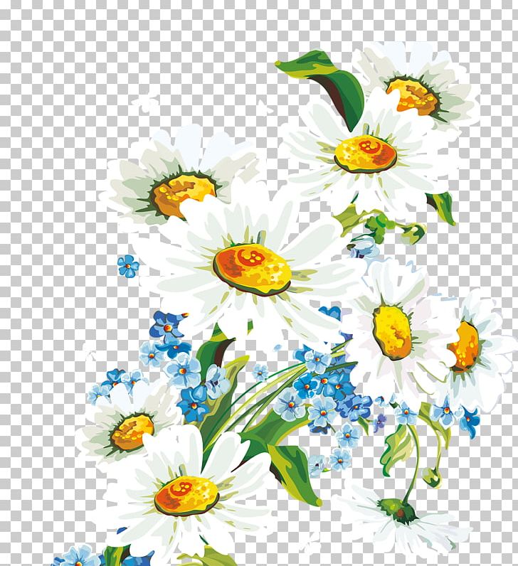 Flower Common Daisy PNG, Clipart, Cartoon, Chrysanthemum Chrysanthemum, Chrysanthemums, Dahlia, Daisy Family Free PNG Download