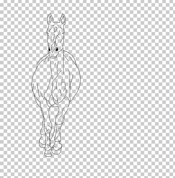 Horse Whiskers Drawing Sketch PNG, Clipart, Angle, Animals, Arm, Artwork, Berrys Free PNG Download