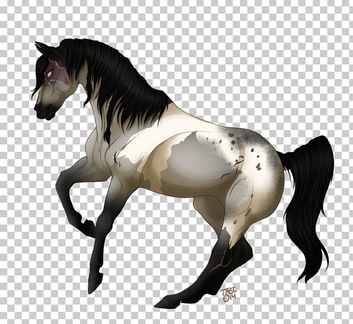 Mustang Stallion Foal Colt Mare PNG, Clipart, Colt, Foal, Halter, Horse, Horse Like Mammal Free PNG Download