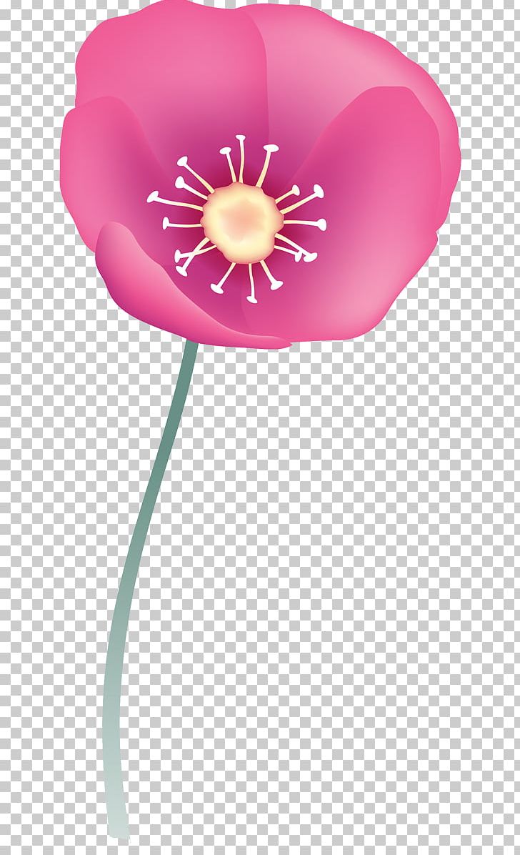 Balloon Birthday PNG, Clipart, Balloon, Birthday, Download, Flower, Flower Bouquet Free PNG Download