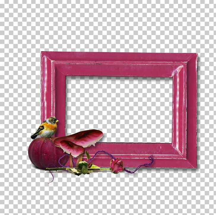 Frames Rectangle PNG, Clipart, Magenta, Others, Picture Frame, Picture Frames, Pink Free PNG Download
