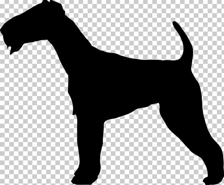 Irish Terrier Soft-coated Wheaten Terrier Airedale Terrier Welsh Terrier Border Terrier PNG, Clipart, Airedale Terrier, Animals, Black And White, Border Terrier, Breed Free PNG Download