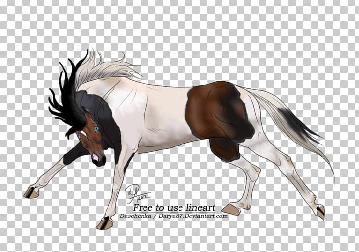Mustang Foal Mare Stallion Pony PNG, Clipart, Angloarabian, Animal Figure, Bridle, Foal, Halter Free PNG Download
