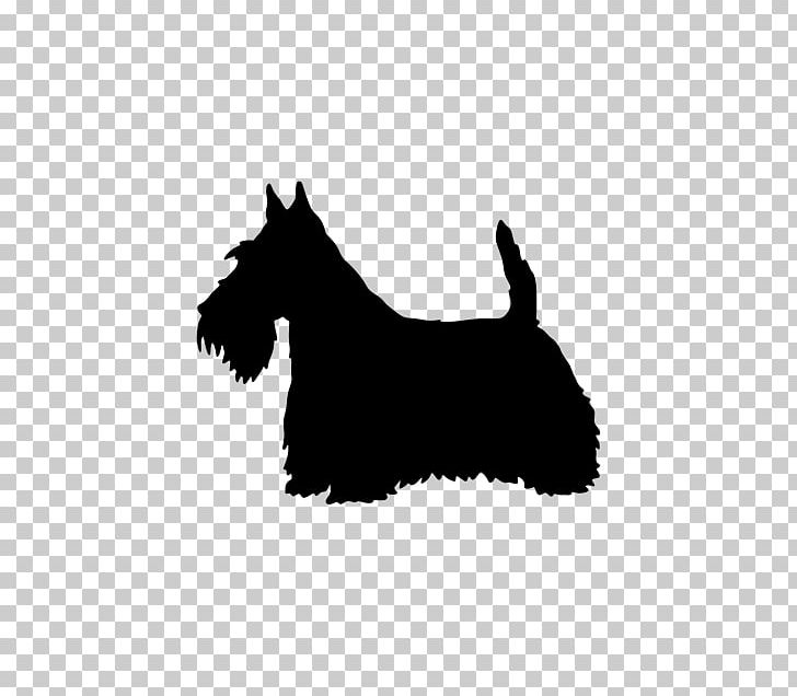 Scottish Terrier West Highland White Terrier Border Terrier Staffordshire Bull Terrier Scotland PNG, Clipart, Black, Black And White, Carnivoran, Decal, Dog Free PNG Download