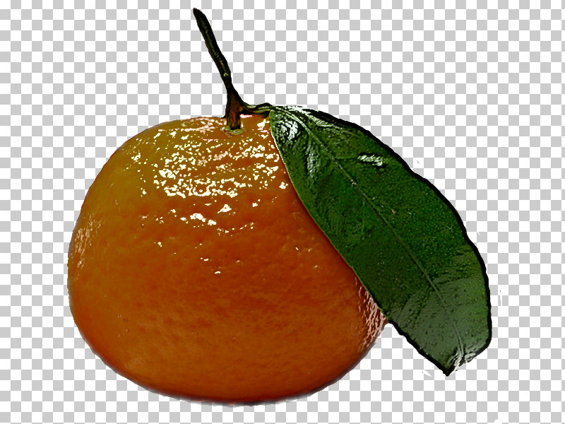 Orange PNG, Clipart, Bitter Orange, Citrus, Clementine, Food, Fruit Free PNG Download
