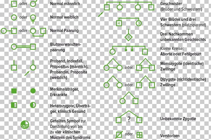 Document Technology Family Tree Line Genealogy PNG, Clipart, Area, Brand, Diagram, Document, Electronics Free PNG Download