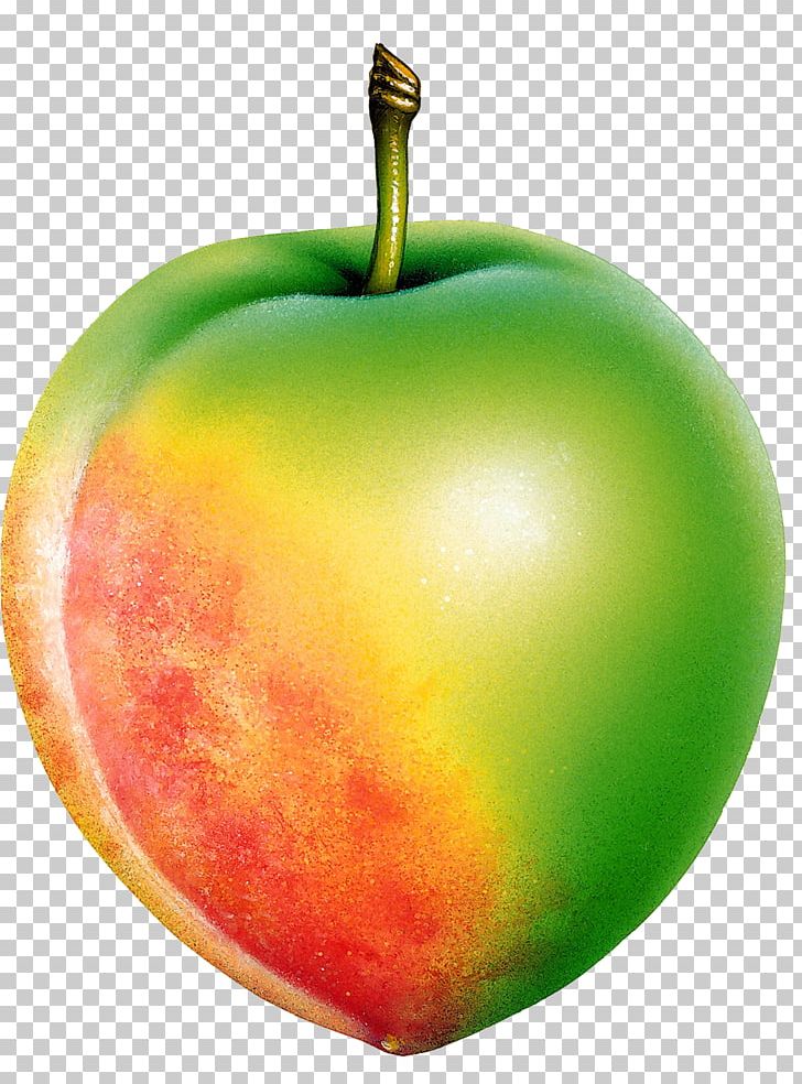 Fruit Apple McIntosh Red Berry PNG, Clipart, Accessory Fruit, Apple, Baking, Berry, Ceyrek Free PNG Download