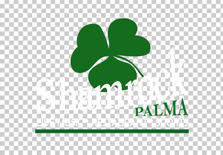 Shamrock Palma Mallorca Restaurant Bar Irish Pub Concert PNG, Clipart, Area, Bar, Brand, Computer Wallpaper, Concert Free PNG Download