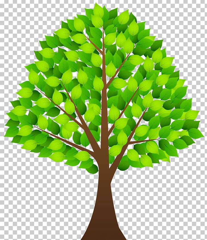 Leaf Clipart Presentation PNG, Clipart, Arecaceae, Branch, Clipart, Clip Art, Computer Icons Free PNG Download