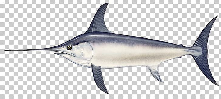 Swordfish Black Sea Seafood PNG, Clipart, Billfish, Black Marlin, Bony Fish, Cartilaginous Fish, Chum Salmon Free PNG Download