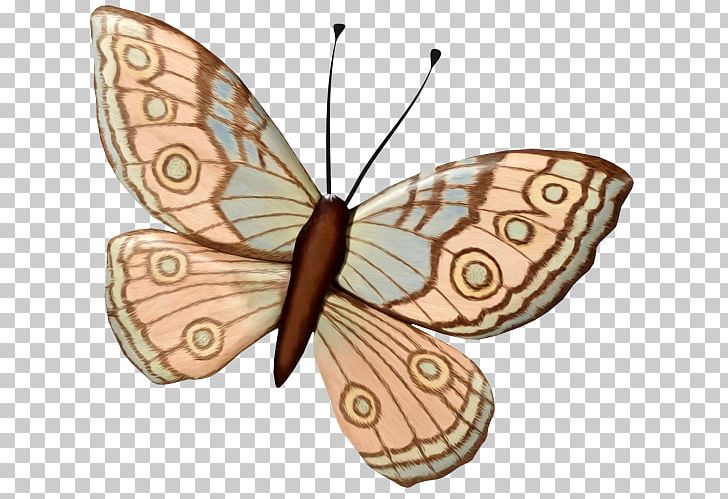 Monarch Butterfly Wall Decal PNG, Clipart, Art, Arthropod, Bombycidae, Brush Footed Butterfly, Butterfly Free PNG Download