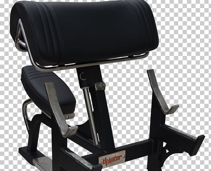 Bench Furniture Exercise Equipment Fitness Centre Strength Training PNG, Clipart,  Free PNG Download