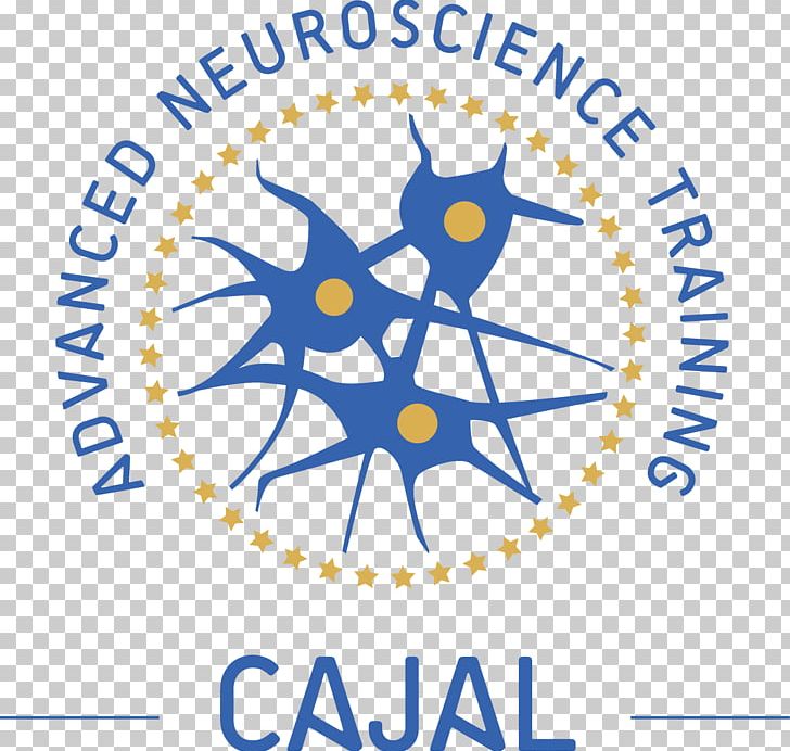 Federation Of European Neuroscience Societies School Brain Education PNG, Clipart,  Free PNG Download
