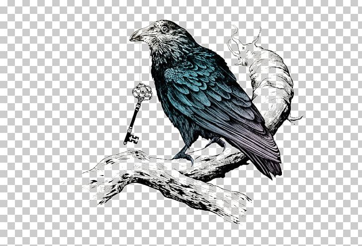Crow Family Common Raven Tattoo Raven's Key PNG, Clipart,  Free PNG Download