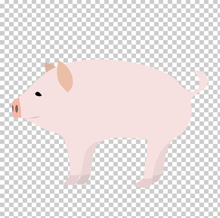 Domestic Pig Computer Mouse Snout PNG, Clipart, Animal, Animal Figure, Animals, Carnivoran, Carnivores Free PNG Download