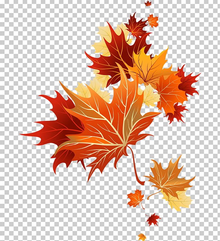 Autumn PNG, Clipart, Art Deco, Autumn, Autumn Leaf Color, Color, Drawing Free PNG Download